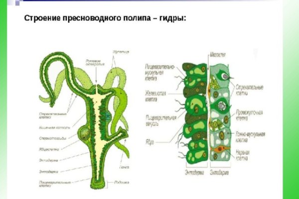 Кракен мага