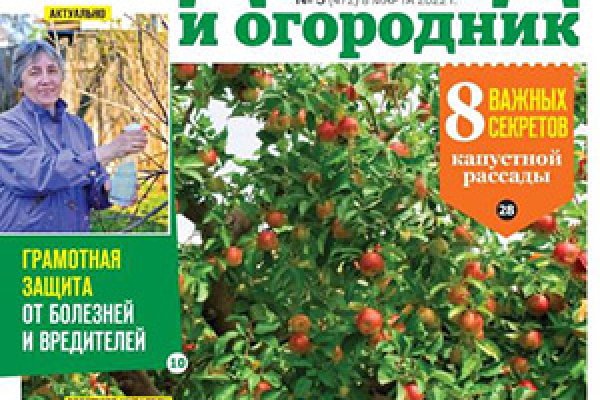 Кракен сегодня сайт зеркало