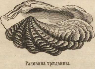 Правильные ссылки на kraken
